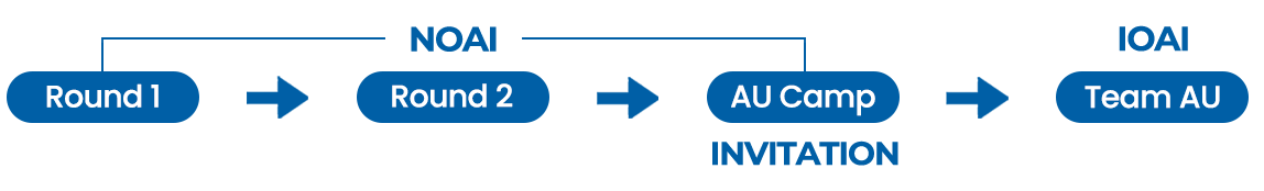 Australian AI Olympiad High-Performance Program roadmap: from the National Olympiad in AI to Team Australia at IOAI